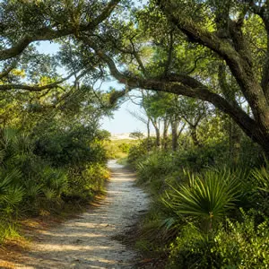Ace Run Disc Golf Course